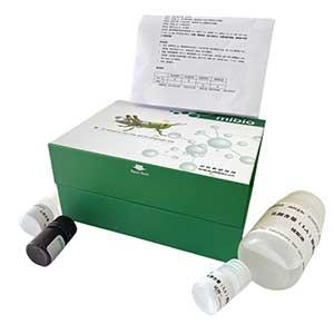 纤维素酶(CL)测定试剂盒/比色法/24样