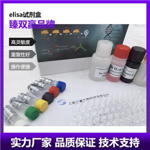 人促甲状腺激素受体抗体(TSHR Ab)ELISA试剂盒
