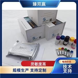 人DNA损伤诱导转录因子4样蛋白(DDIT4/RTP801)ELISA试剂盒