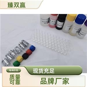 人肾损伤因子1(Kim-1)ELISA试剂盒