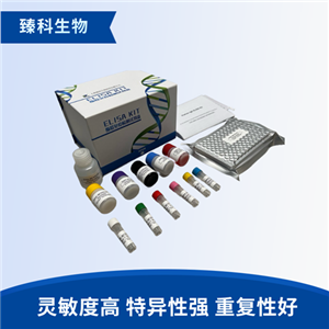 人纤维蛋白肽A(FPA）检测试剂盒（ELISA法）