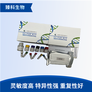 人纤维蛋白肽A(FPA）检测试剂盒（ELISA法）