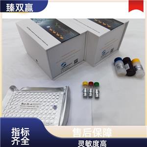 人α烯醇化酶(ENO1/ENO1L1/MBPB1/MPB1)ELISA试剂盒,ENO1/ENO1L1/MBPB1/MPB1 ELISA Kit