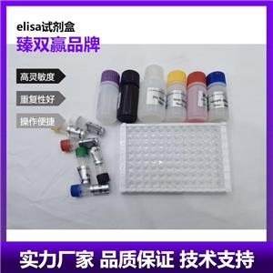 人T4多聚核苷酸激酶(T4PNK)ELISA试剂盒