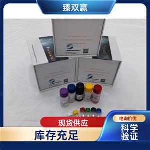 人T4多聚核苷酸激酶(T4PNK)ELISA试剂盒