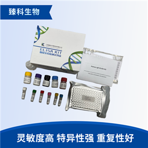 大鼠过氧亚硝基阴离子(ONOO）elisa试剂盒