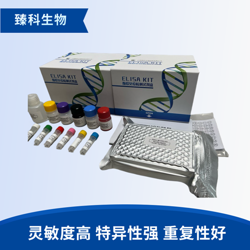 人可溶性胸苷激酶1(TK1）elisa试剂盒