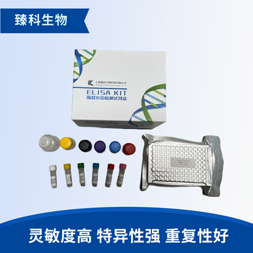 大鼠多巴胺D5受体(D5R）elisa试剂盒
