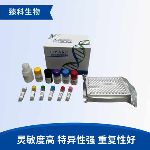 大鼠抗心磷脂抗体(ACA）elisa试剂盒