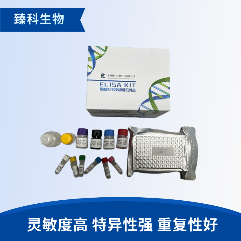 大鼠多巴胺D4受体(D4R）elisa试剂盒