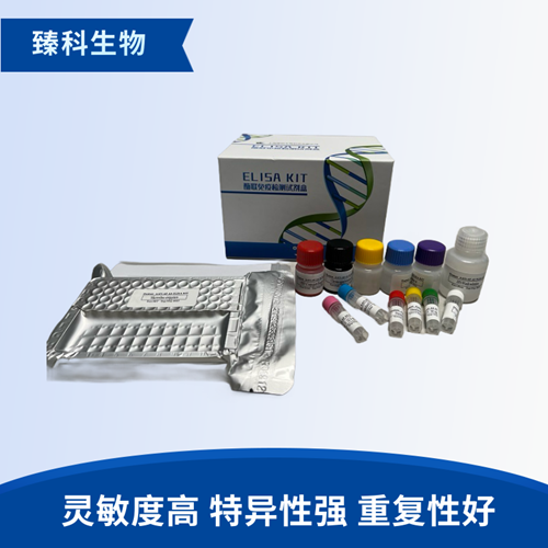 大鼠Ras(Ras）elisa试剂盒