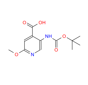 5-(叔丁氧基羰基氨基)-2-甲氧基吡啶-4-羧酸,5-(TERT-BUTOXYCARBONYLAMINO)-2-METHOXYPYRIDINE-4-CARBOXYLIC ACID