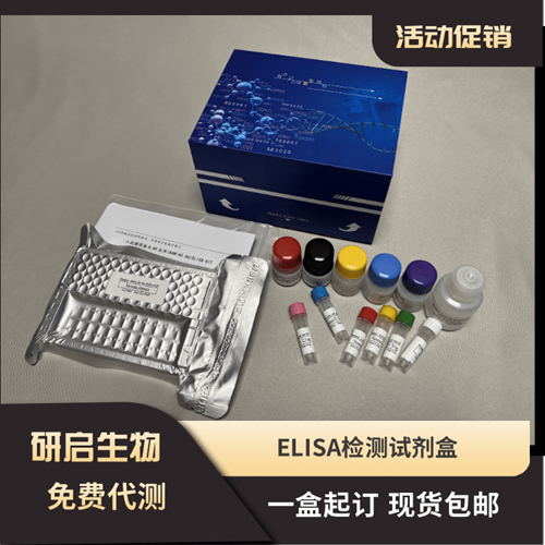 小鼠CC趋化因子受体6(CCR6）ELISA试剂盒,Mouse CCR6 ELISA KIT