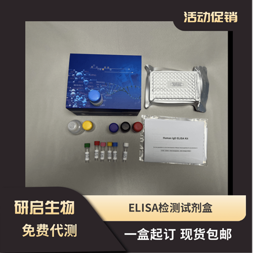 小鼠CXC趋化因子受体4(CXCR4）ELISA试剂盒,Mouse CXCR4 ELISA KIT
