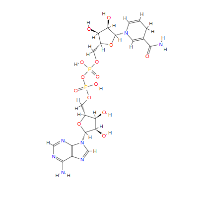 β-烟酰胺腺嘌呤二核苷酸二氢还原型,NADH