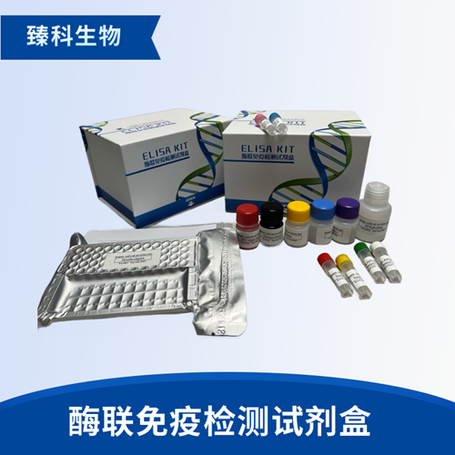 人胰岛素样因子5(INSL5）检测试剂盒（ELISA法）