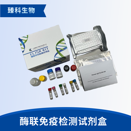 人乙酰CoA羧化酶1(ACC1）检测试剂盒（ELISA法）