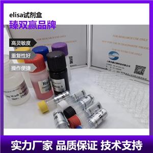 人尿蛋白(UP)ELISA试剂盒