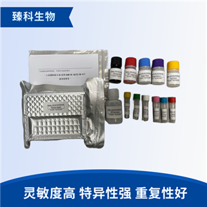 人戊肝抗原(HEV-Ag）检测试剂盒（ELISA法）