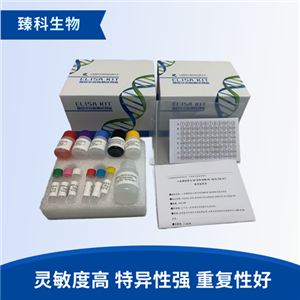人脱氧吡啶酚;脱氧吡啶啉(DPD）检测试剂盒（ELISA法）