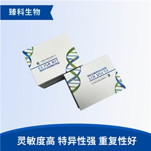 人脱氧吡啶酚;脱氧吡啶啉(DPD）检测试剂盒（ELISA法）