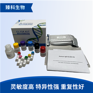 人可溶性胸苷激酶1(TK1）elisa试剂盒