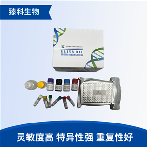 人抗增殖细胞核抗原抗体(PCNA）elisa试剂盒