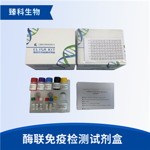 大鼠抗精子抗体(As-Ab）elisa试剂盒