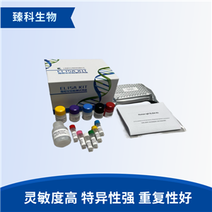 大鼠冠状病毒(CV）elisa试剂盒