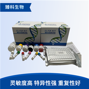 大鼠OATP1B3(OATP1B3）elisa试剂盒