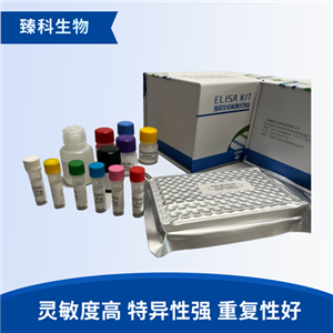 大鼠PKA-Cα(PKA-Cα）elisa试剂盒