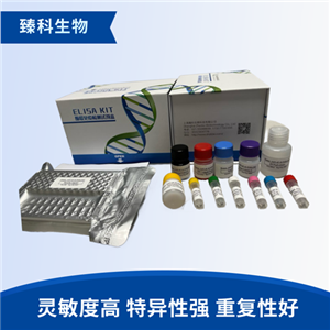 大鼠瘟热病毒(CDV）elisa试剂盒