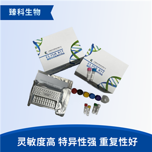 大鼠瘟热病毒(CDV）elisa试剂盒