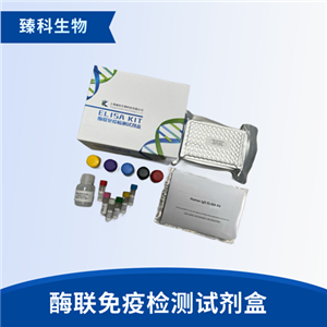 大鼠有机阴离子转运肽(OATP2B1）elisa试剂盒