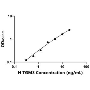 TGM3 ELISA KIT / 人表皮转谷氨酰胺酶 ELISA试剂盒