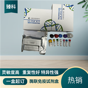 大鼠总β淀粉样蛋白(Aβ）elisa试剂盒