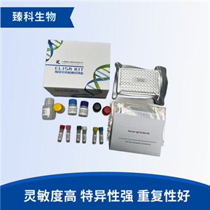 大鼠多药耐药相关蛋白2(MRP2）elisa试剂盒