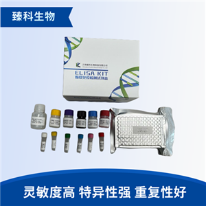 大鼠I型胶原蛋白(ColⅠ）elisa试剂盒