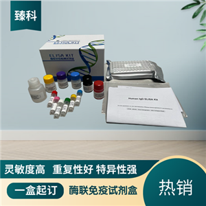 大鼠载脂蛋白A(apo-A）elisa试剂盒