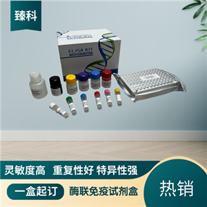 大鼠载脂蛋白A(apo-A）elisa试剂盒