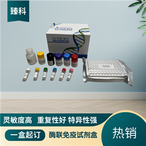 大鼠粘蛋白;粘液素5B(MUC5B）elisa试剂盒