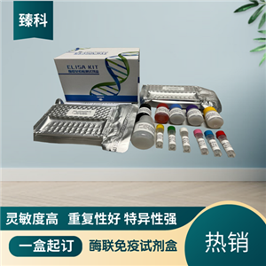 大鼠胰脂肪酶(PL）elisa试剂盒