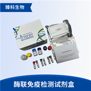 大鼠转录因子T-bet(T-bet）elisa试剂盒