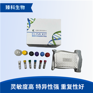 大鼠多巴胺D5受体(D5R）elisa试剂盒