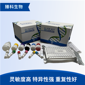 大鼠多巴胺D5受体(D5R）elisa试剂盒