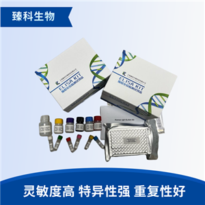 大鼠血管内皮生长因子受体2(VEGFR-2）elisa试剂盒