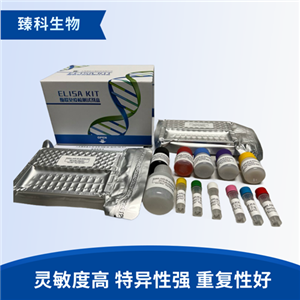 大鼠支链氨基酸(BCAAS）elisa试剂盒