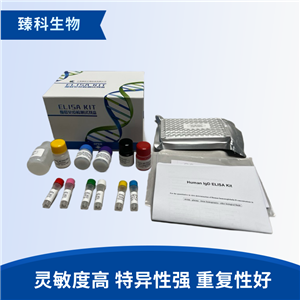 大鼠糖化血红蛋白(GHb）elisa试剂盒