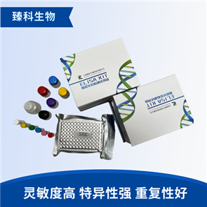 大鼠糖化血红蛋白(GHb）elisa试剂盒