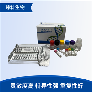 大鼠Ras(Ras）elisa试剂盒